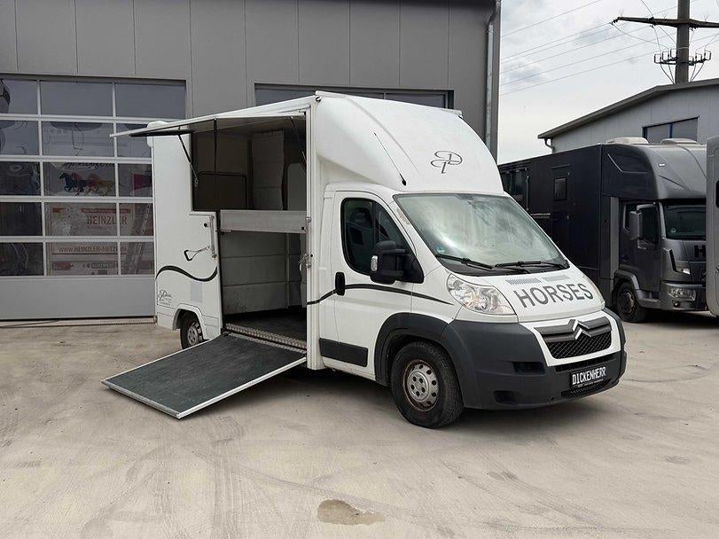 Paardentrailer Paardencamionette Chevaux Horsetrailer, Ophalen, Gebruikt, Polyester, 2-paards trailer