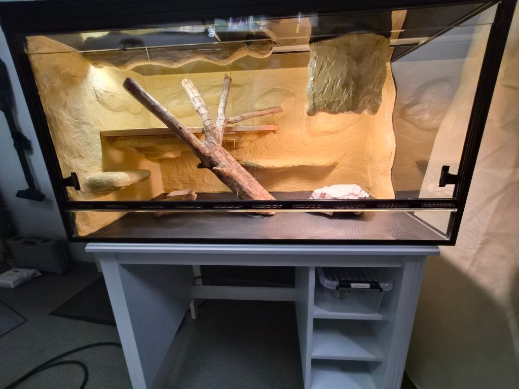 terrarium, Animaux & Accessoires, Reptiles & Amphibiens | Accessoires, Enlèvement, Comme neuf, Terrarium ou Paludarium