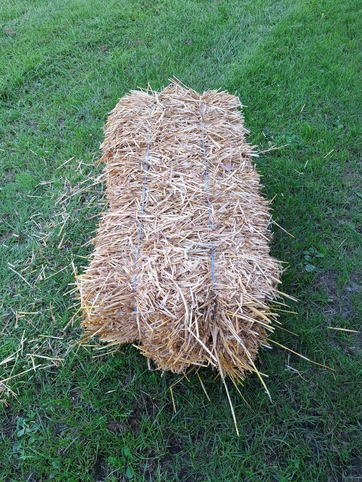 stro, Dieren en Toebehoren