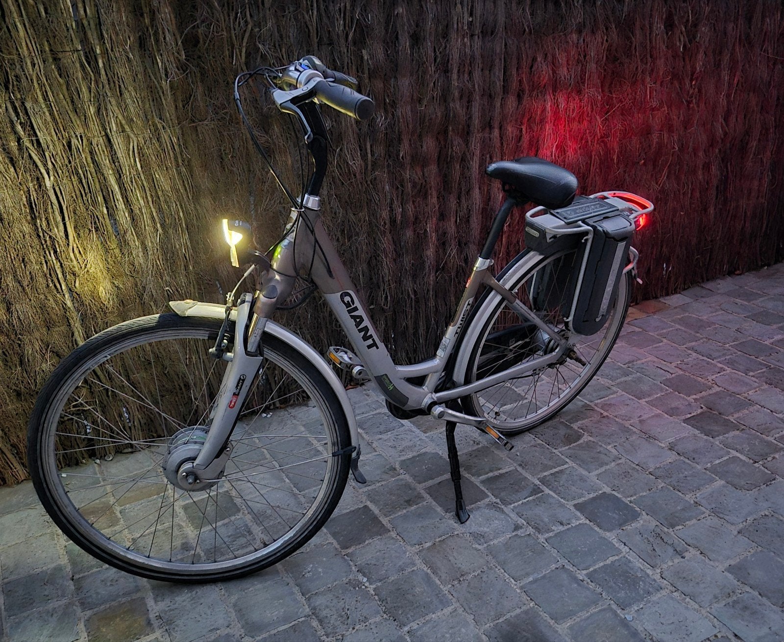 Giant twist duo elektrische fiets alles werkt perfect., Ophalen, Gebruikt, Giant, 51 tot 55 cm