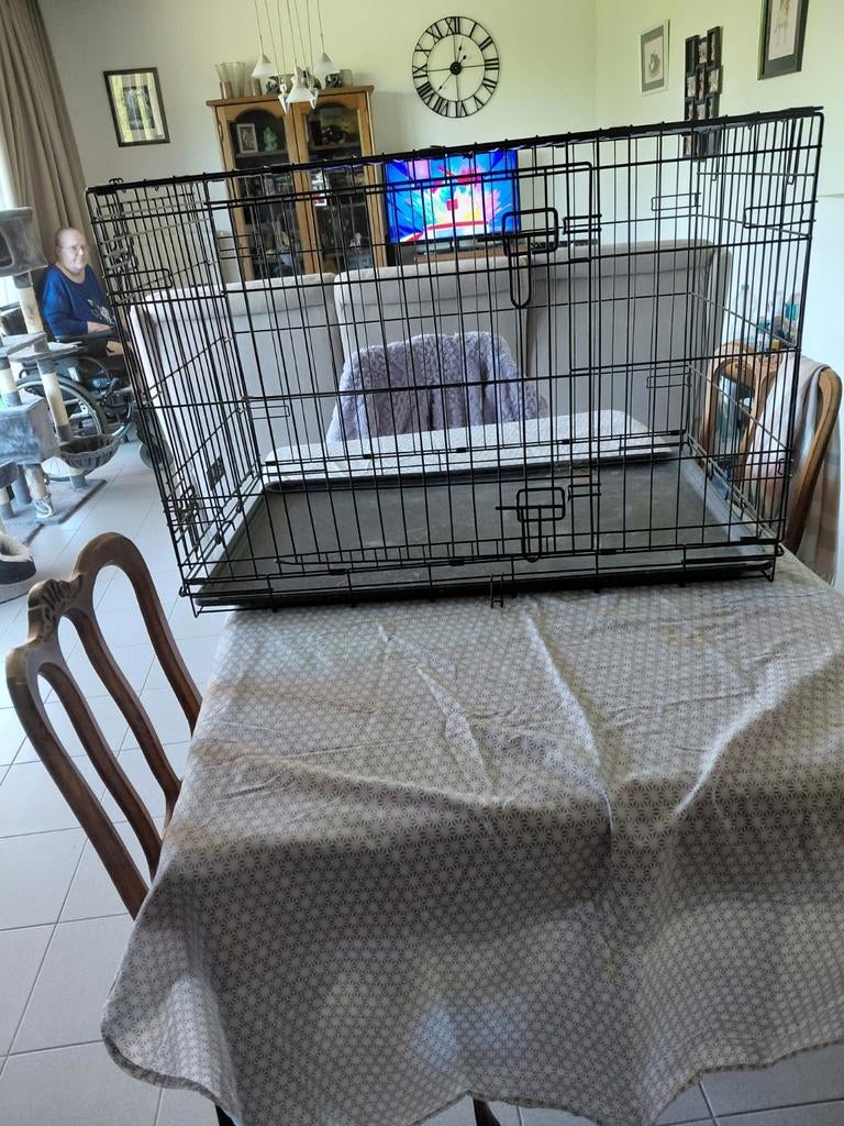 Dierenkooi + matras, Dieren en Toebehoren, Hondenhokken, Ophalen