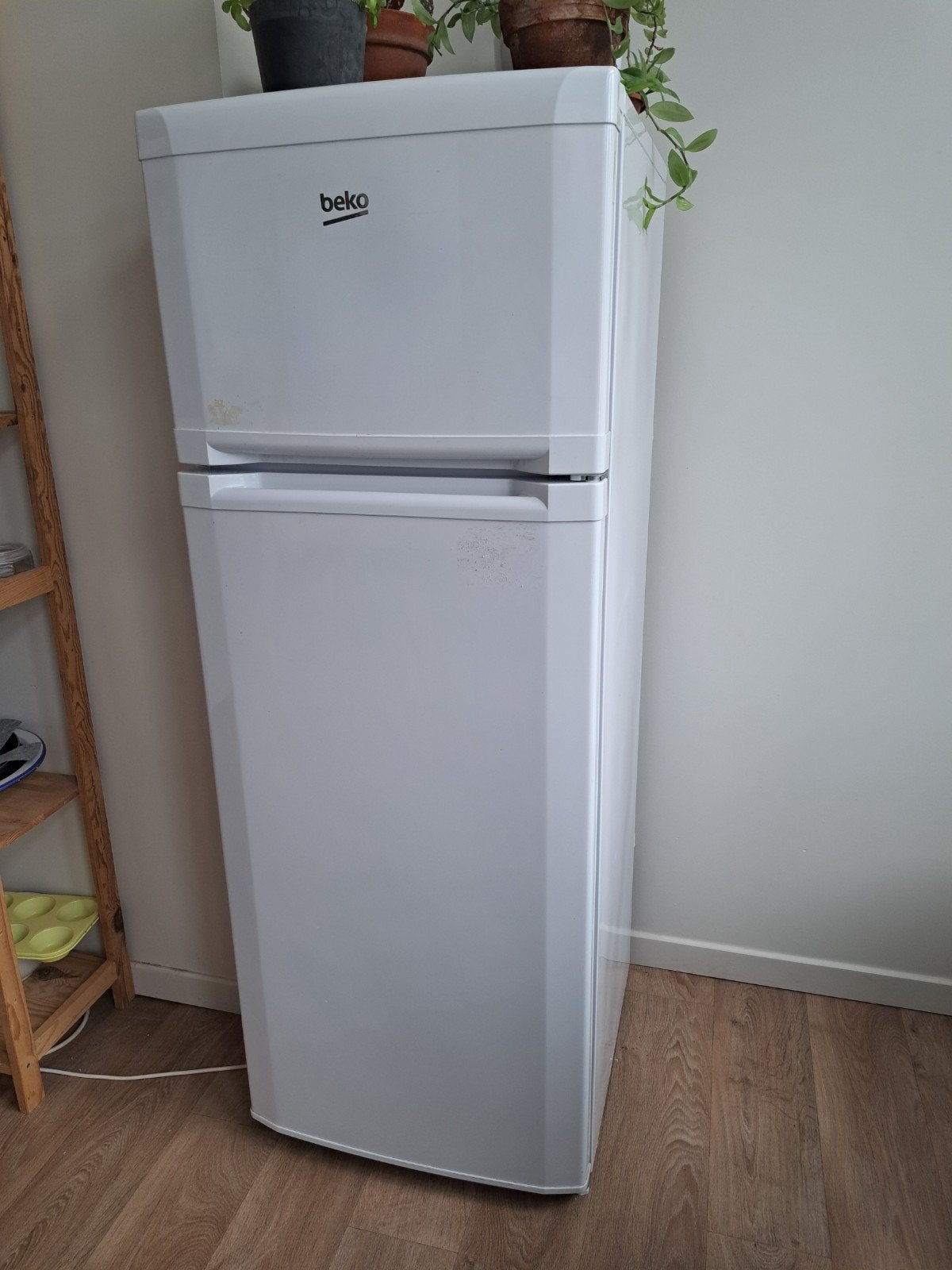 Frigo, Enlèvement