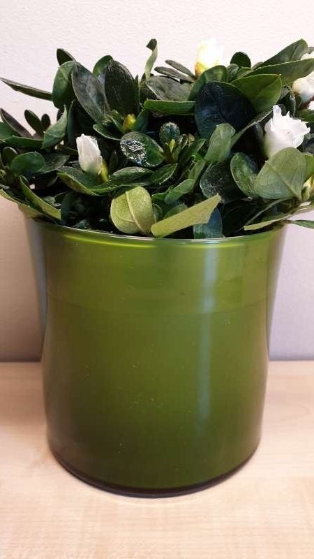 Bloempot, groen, hoogte 13cm, binnen diameter 12,5cm, nieuw!, Tuin en Terras, Ophalen, Binnen