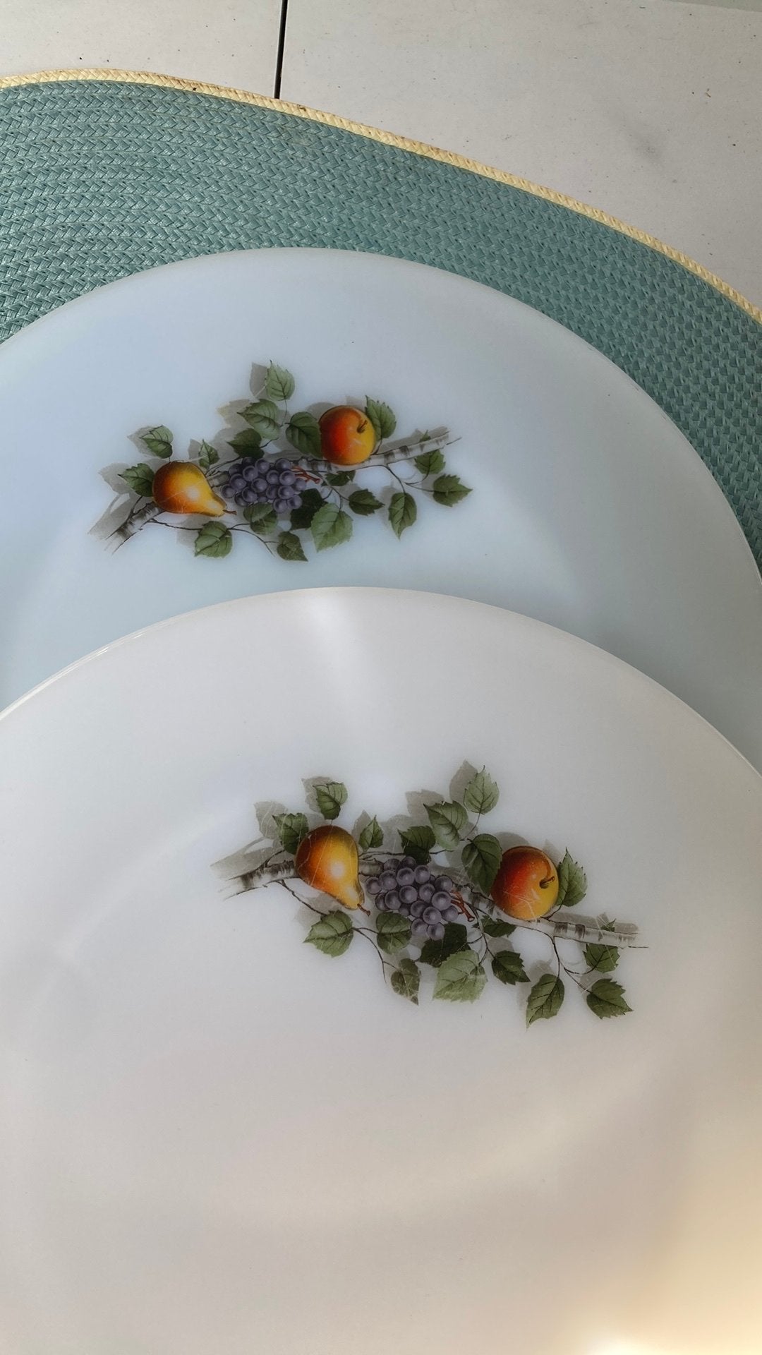 2 ronde gerechten met fruit van Arcopal France, Ophalen