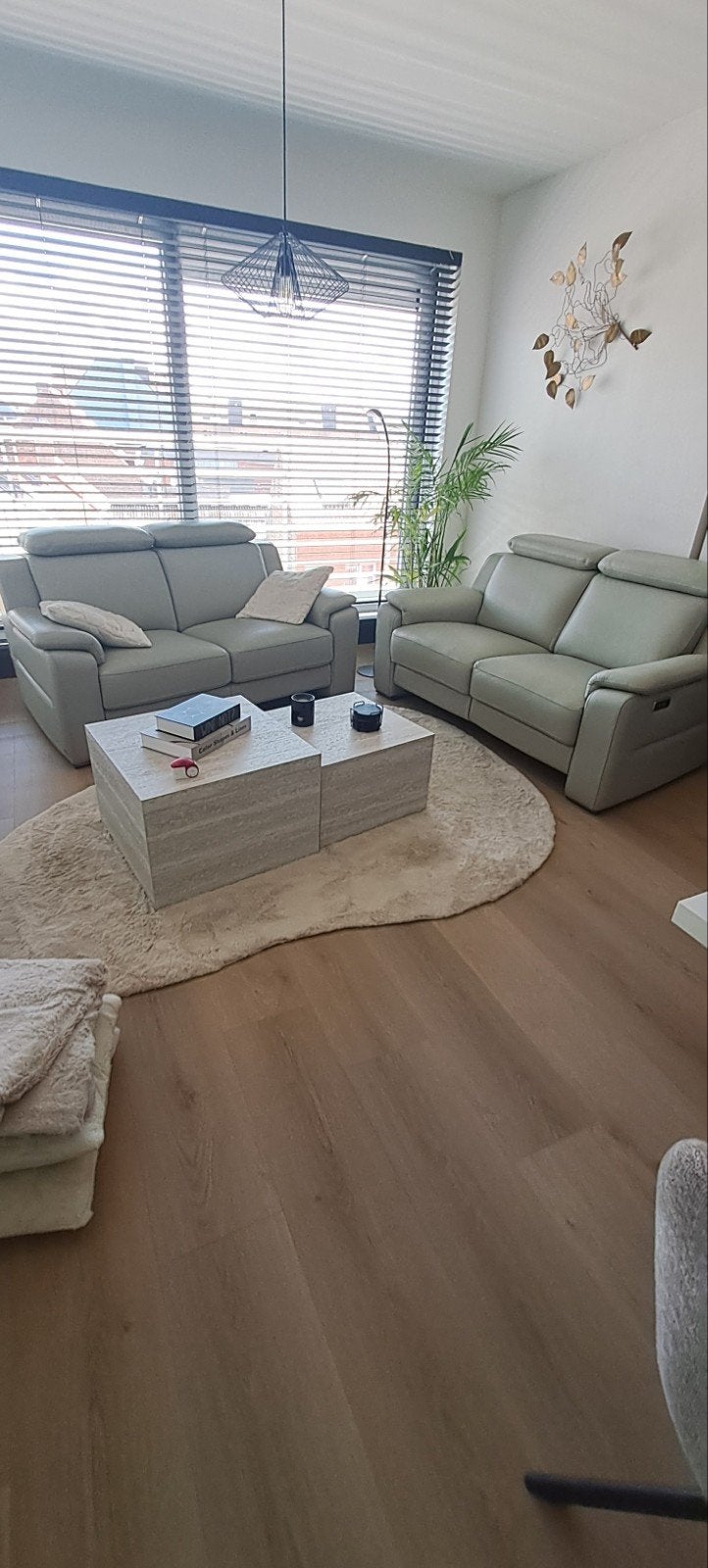 nieuwe salon, Enlèvement