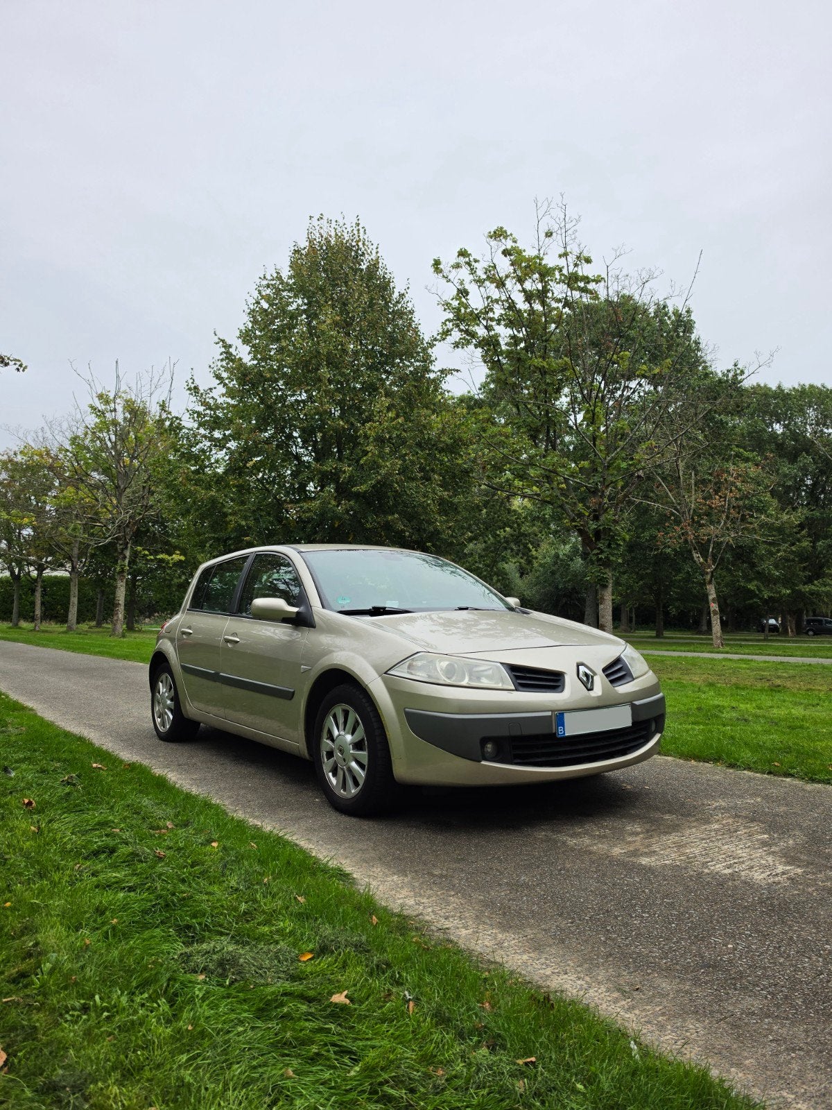 Renault Megane 1.4 Benzine Gekeurd, 72 kW, Boîte manuelle, 5 portes, Particulier