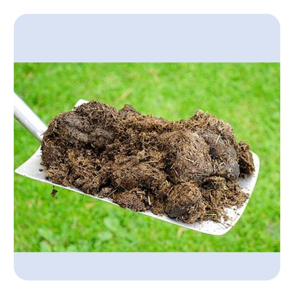 paarden mest gratis, Tuin en Terras, Aarde en Mest, Ophalen, Mest