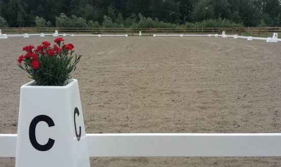 Dressuurring 20x60 te koop, Ophalen