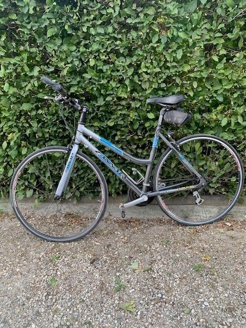 Koersfiets Dames - Zannata, Fietsen en Brommers, Ophalen, Zo goed als nieuw, Overige merken