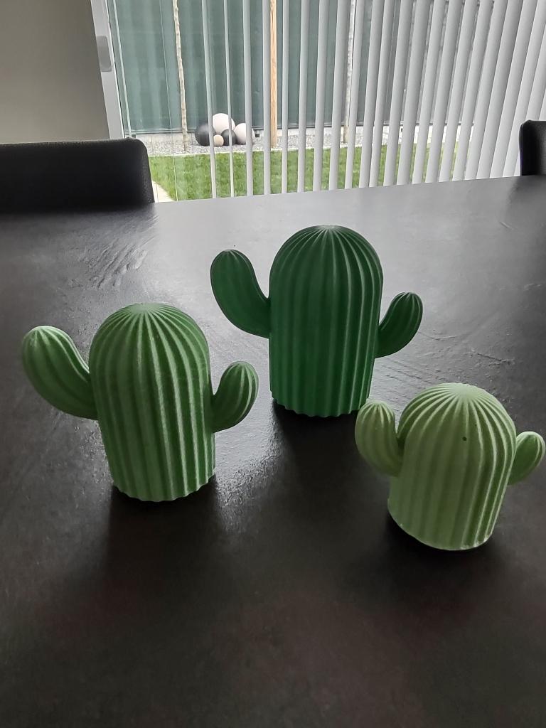 Kleine cactusjes in ecohars (zie foto’s & omschrijving), Ophalen, Nieuw, Groen