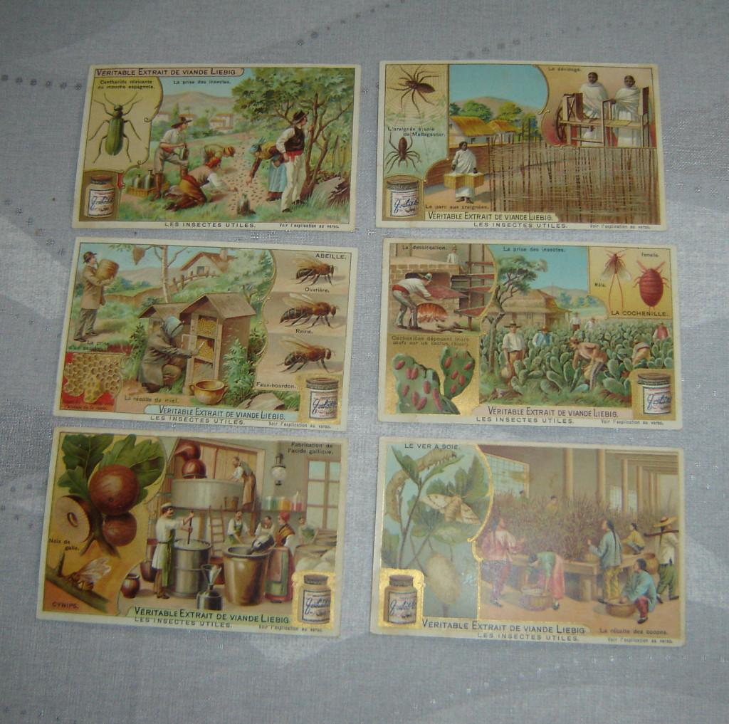 Chromos Liebig S736 avec pots, Collections, Avant 1940, Gravure, Utilisé, Autres sujets/thèmes