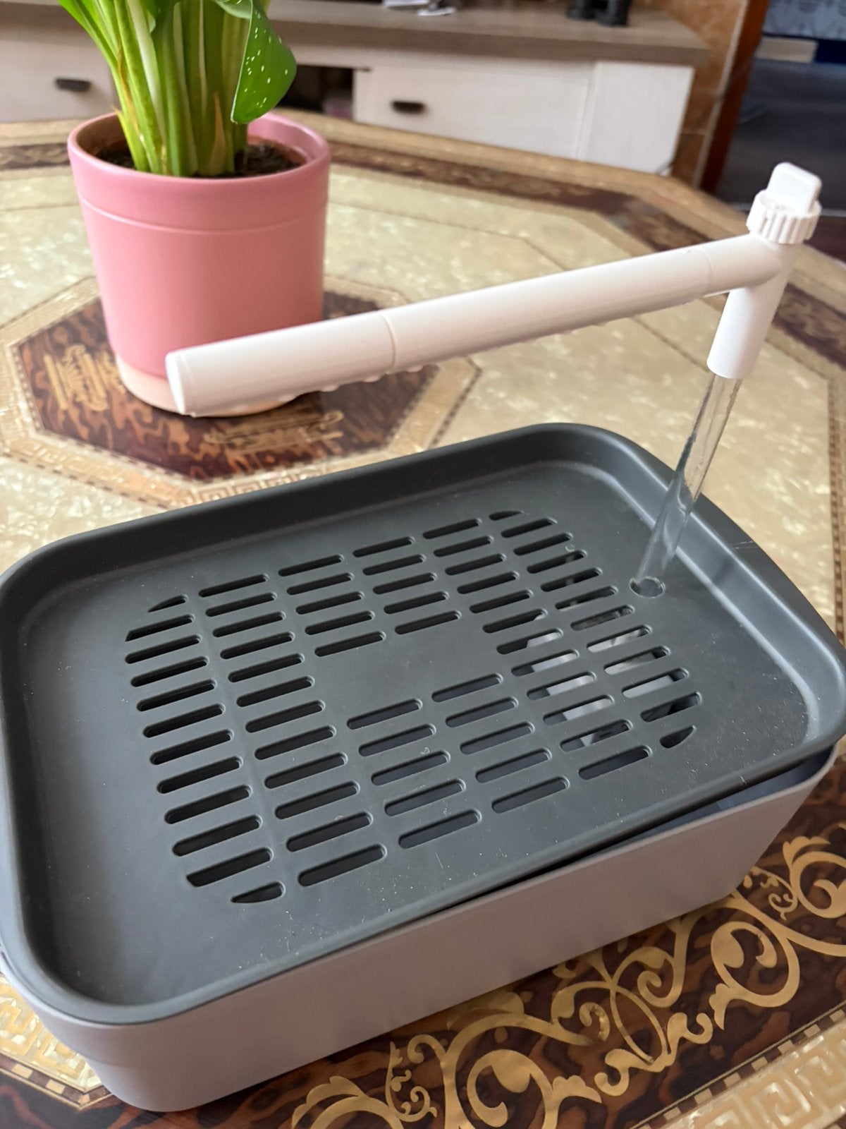 Nieuwe electrice vogelbadje/douche