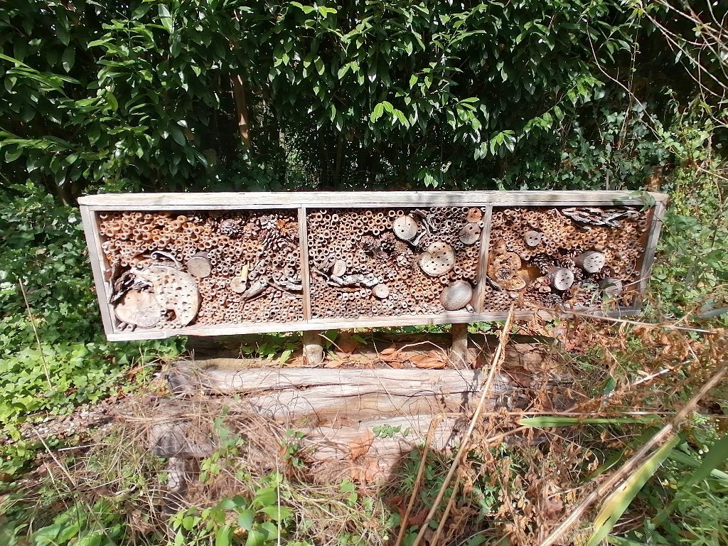 Insectenhotel GRATIS (zonder stronk), Ophalen