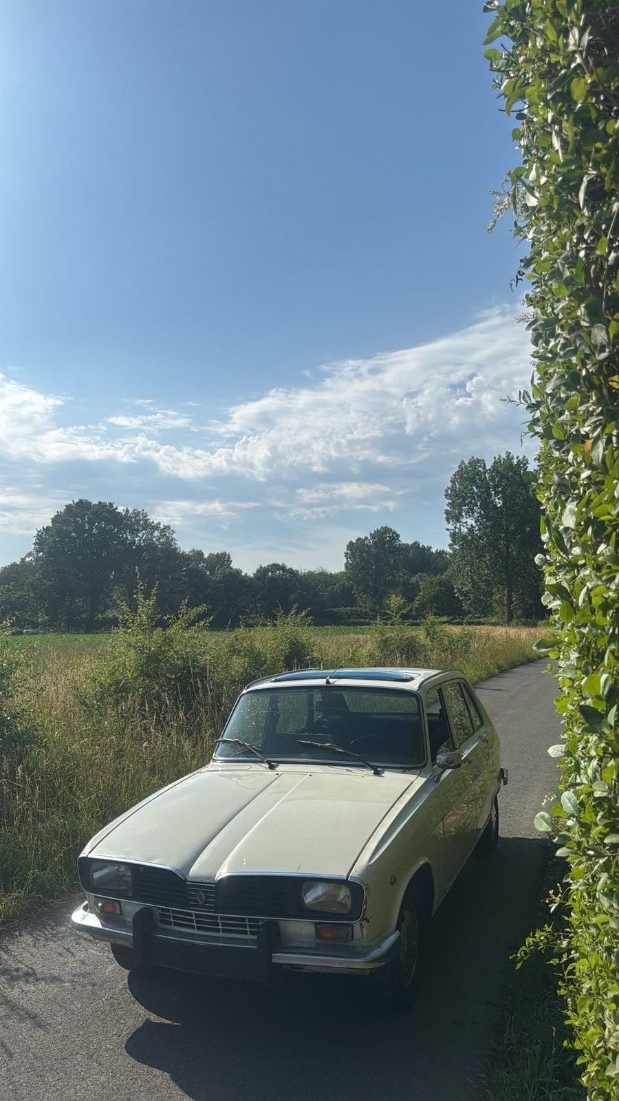 Renault R16 TL, 1600 cc, Handgeschakeld, 5 deurs, Particulier