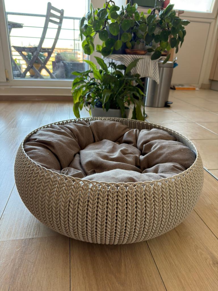 Kattenmand, Ophalen of Verzenden, Zo goed als nieuw