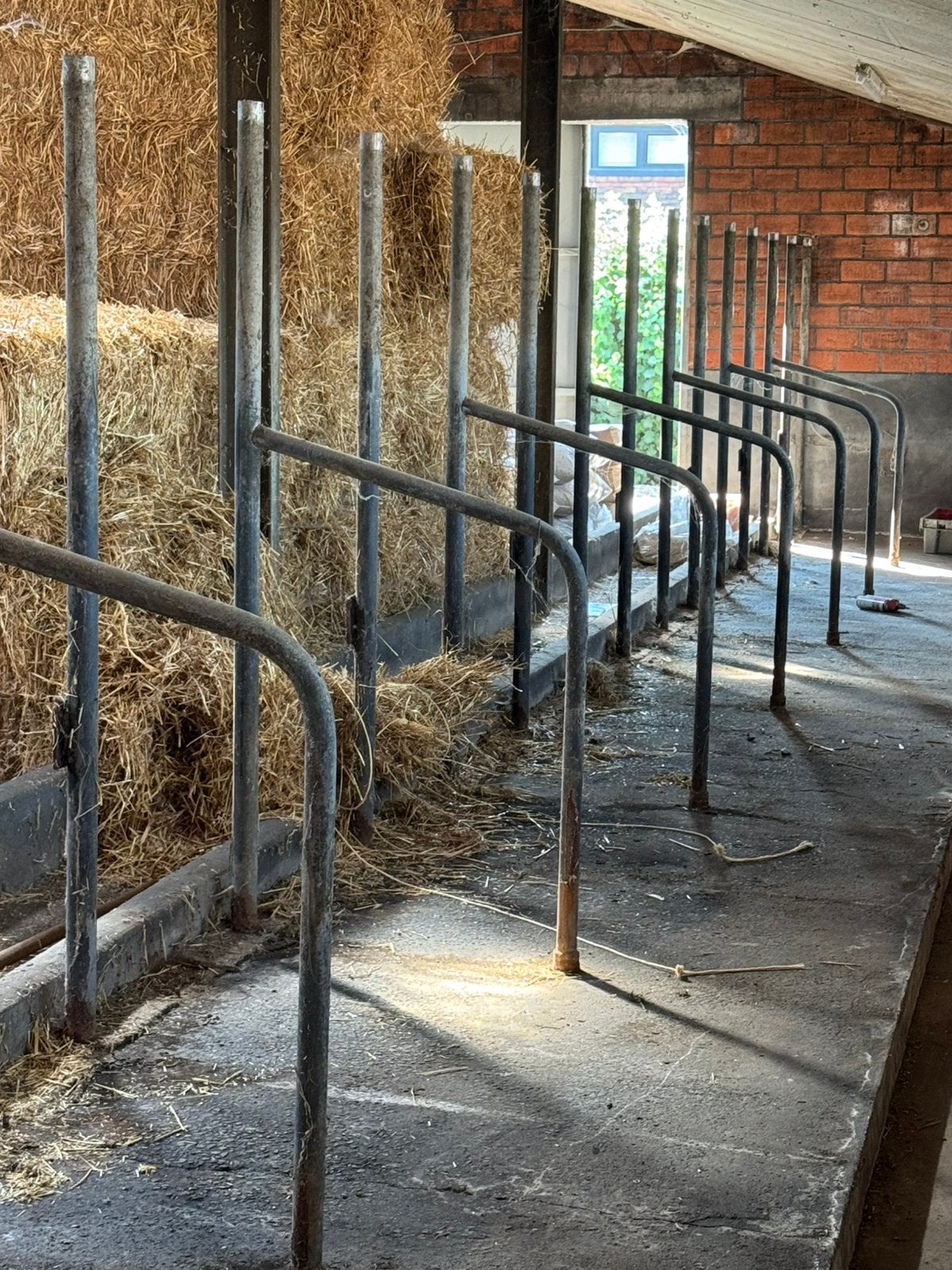 Bindstal voor 17 runderen, Stalling
