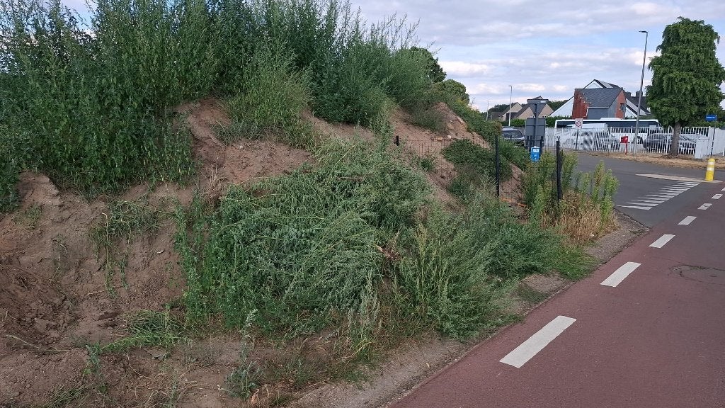 Grond gratis!, Ophalen, Overige typen