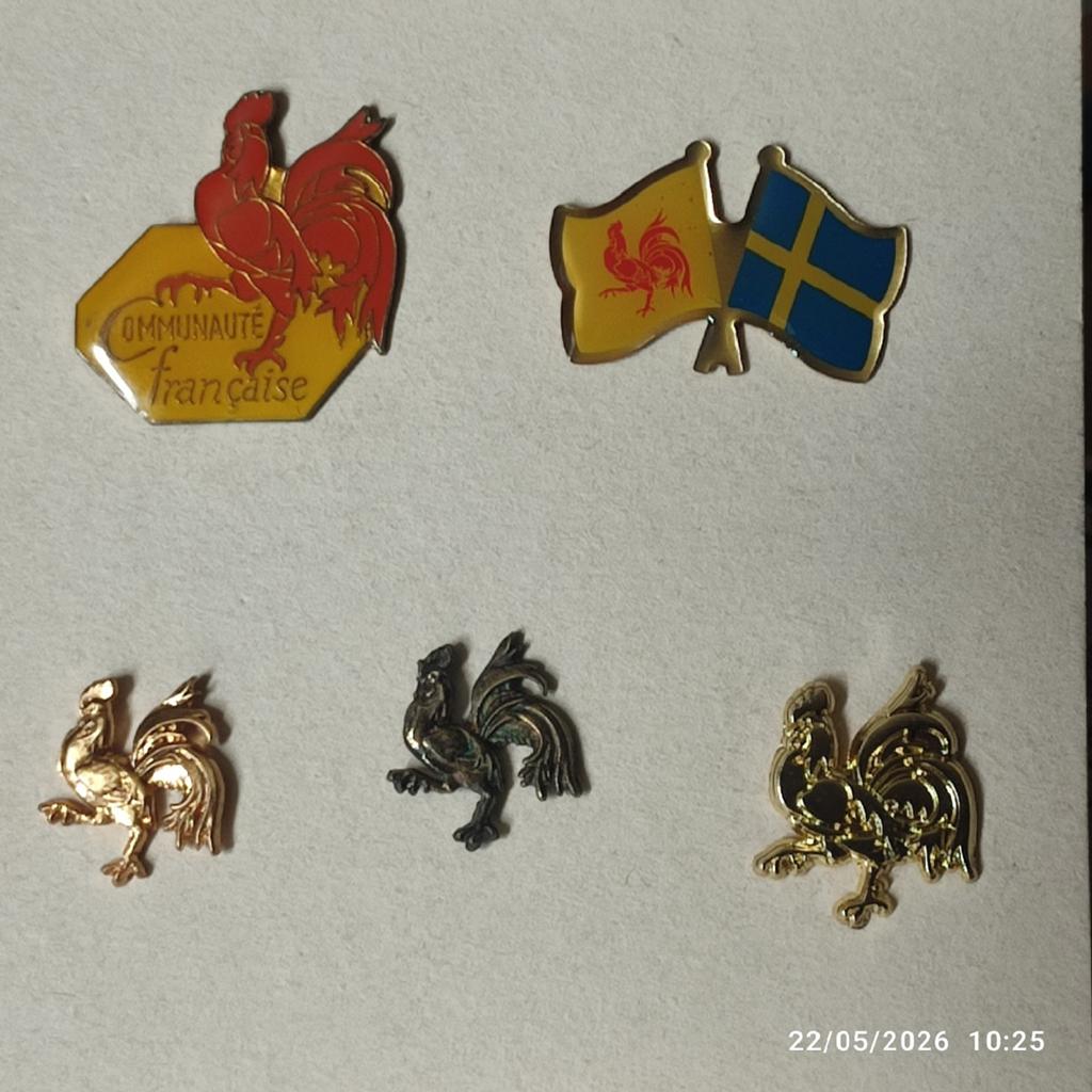 5 pin's COQ  WALLON ., Enlèvement ou Envoi, Comme neuf, Animal et Nature, Insigne ou Pin's