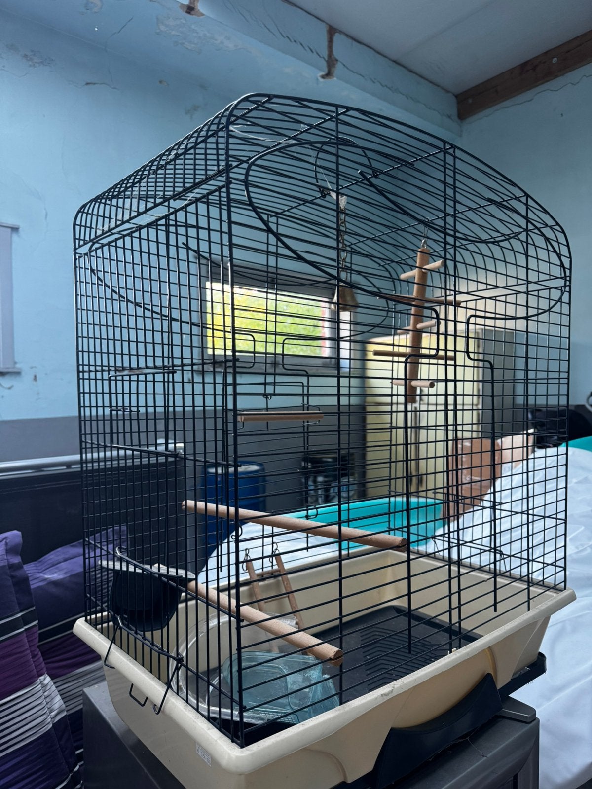 Kooi vogels, Ophalen, Zo goed als nieuw