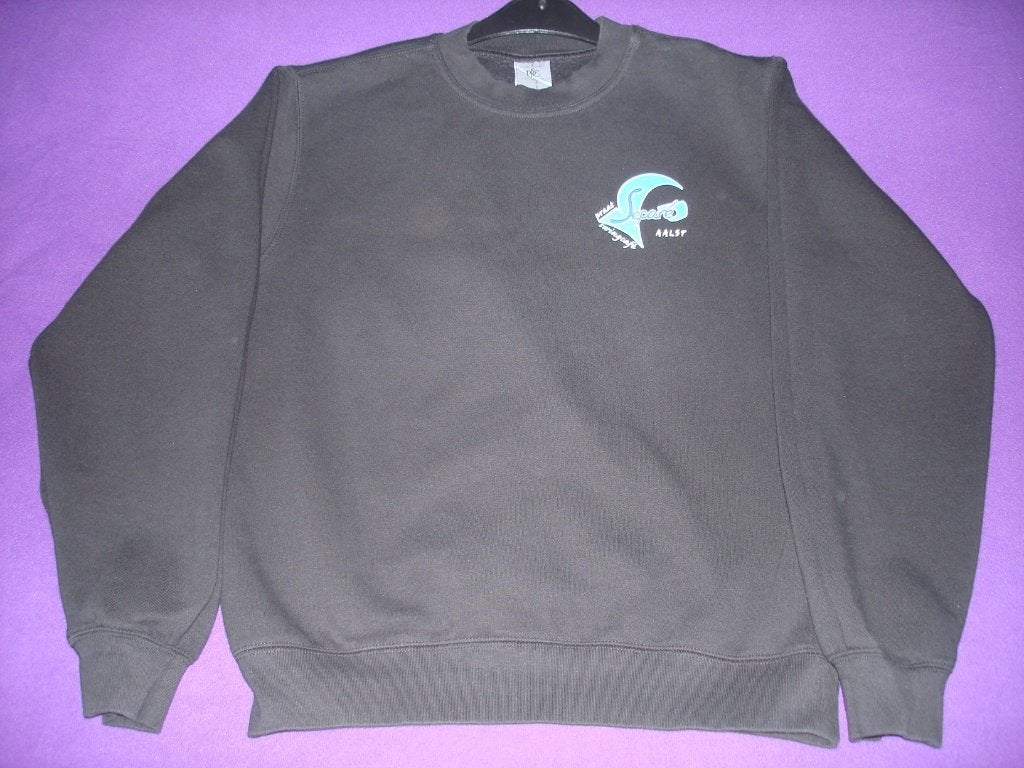Sweater zwart met lange mouwen en ronde hals maat M., Kleding | Heren, Truien en Vesten, Maat 48/50 (M), Zwart, Ophalen of Verzenden