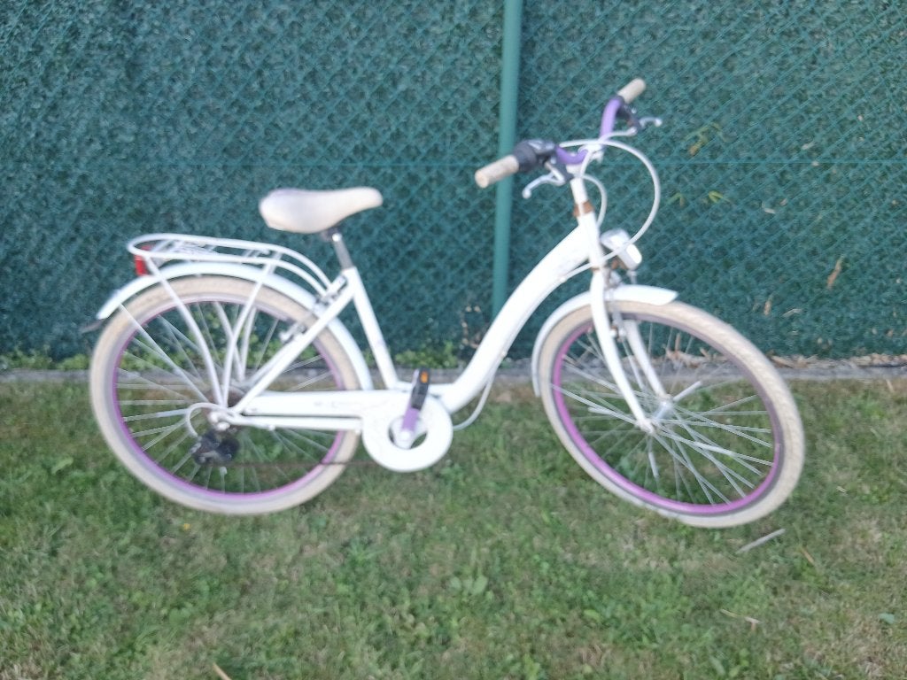 Meisjes fiets, Vélos & Vélomoteurs, Vélos | Filles, 24 pouces, Enlèvement, Fleur, Frein à disque