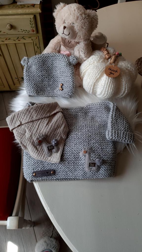 Petit ensemble bébé gris clair 1/3mois, Kinderen en Baby's, Babykleding | Maat 74, Ophalen of Verzenden, Setje