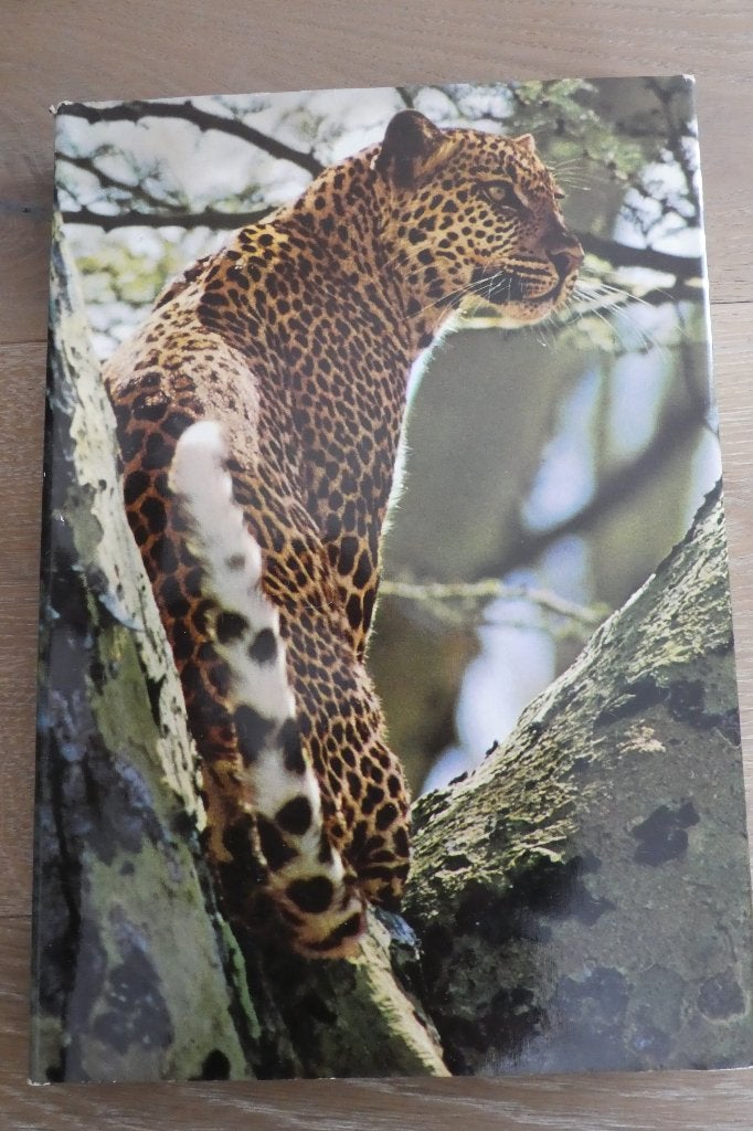 Livre Artis ZOO - AFRIQUE ORIENTAL, Livres, Enlèvement, Comme neuf, Album d'images