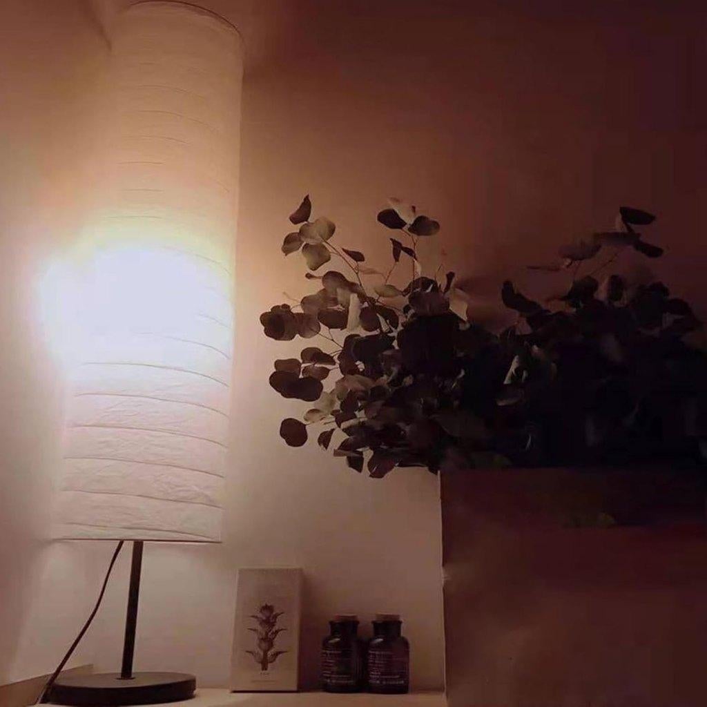 Staanlamp (rijstpapier), Ophalen, 100 tot 150 cm, Overige materialen, Rijstpapier