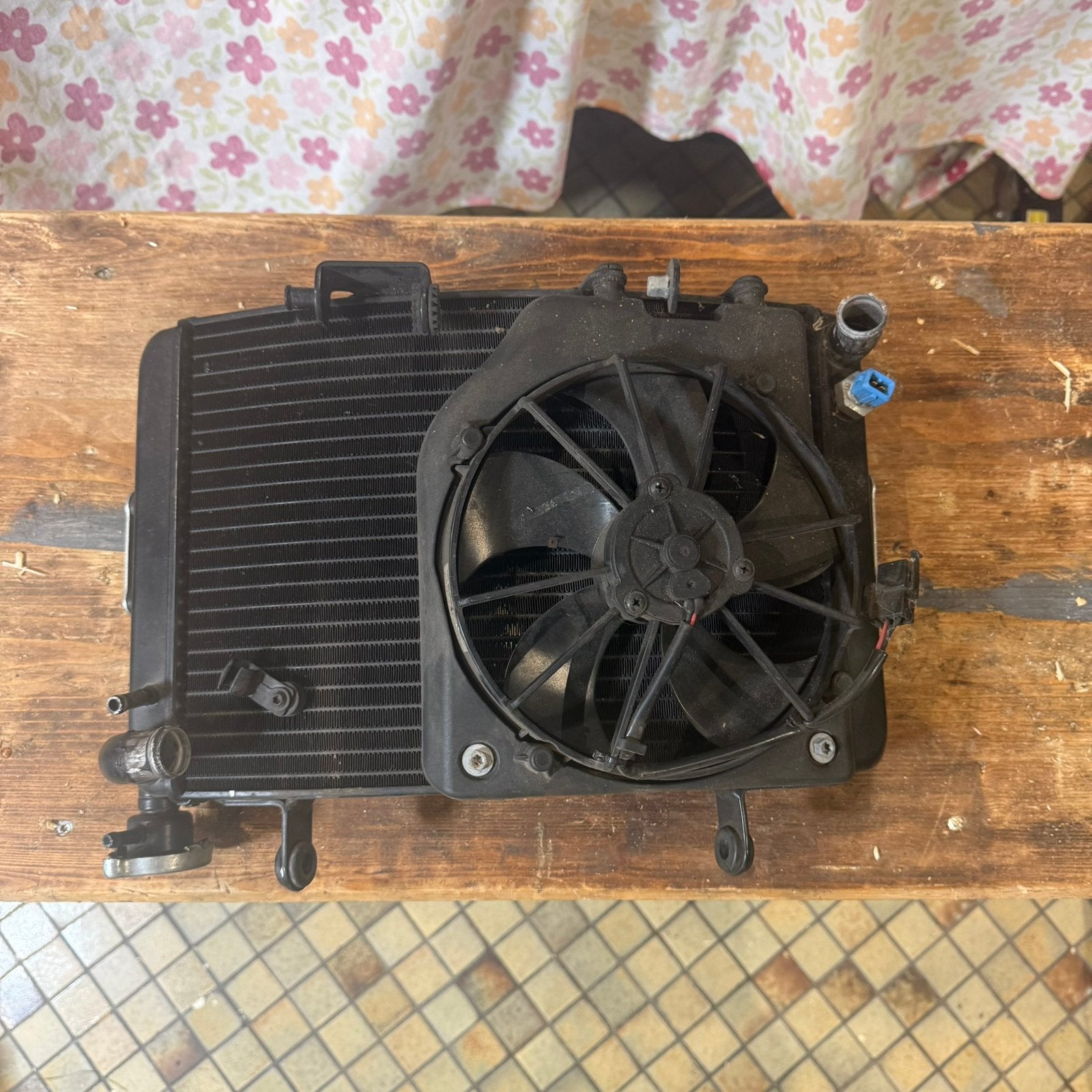 MV Agusta Dragster 800 radiators (2013–2020), Motoren, Ophalen of Verzenden
