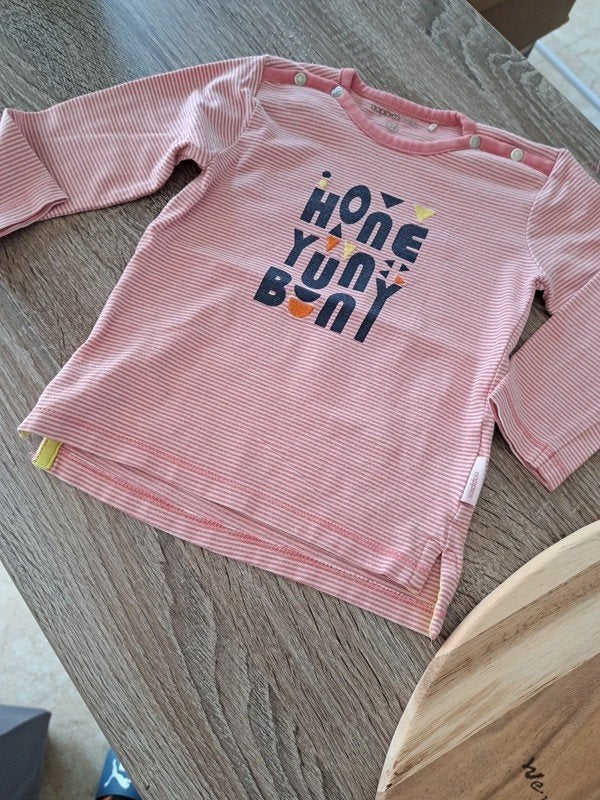Longsleeve maat 74, Kinderen en Baby's, Babykleding | Maat 74, Ophalen of Verzenden, Zo goed als nieuw, Meisje, Shirtje of Longsleeve