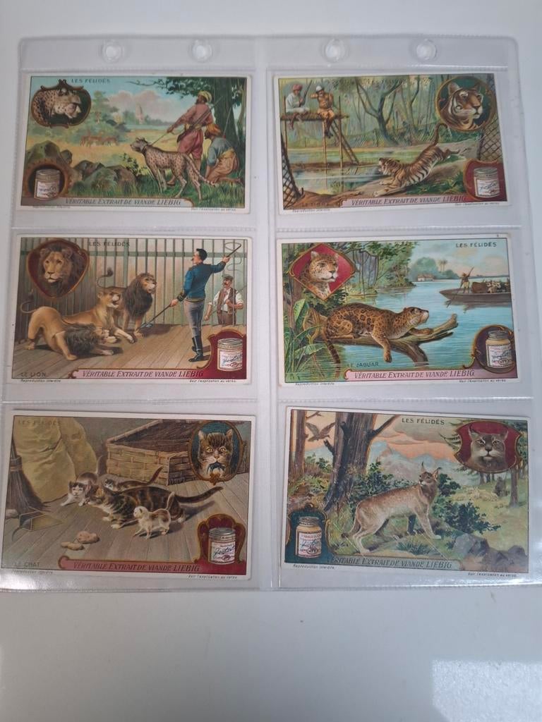 Liebig, Verzamelen, Ophalen of Verzenden