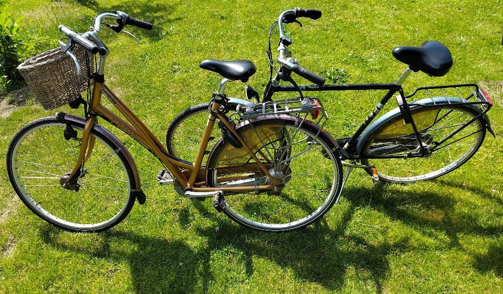Damesfiets en herenfiets, Fietsen en Brommers, Ophalen, Gebruikt, Batavus, Versnellingen