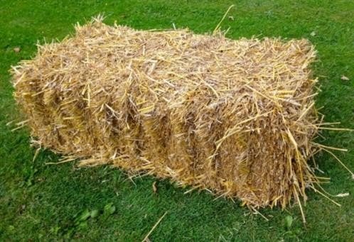 Kleine pakjes tarwe  stro  van 2026, Ophalen of Verzenden, Vee