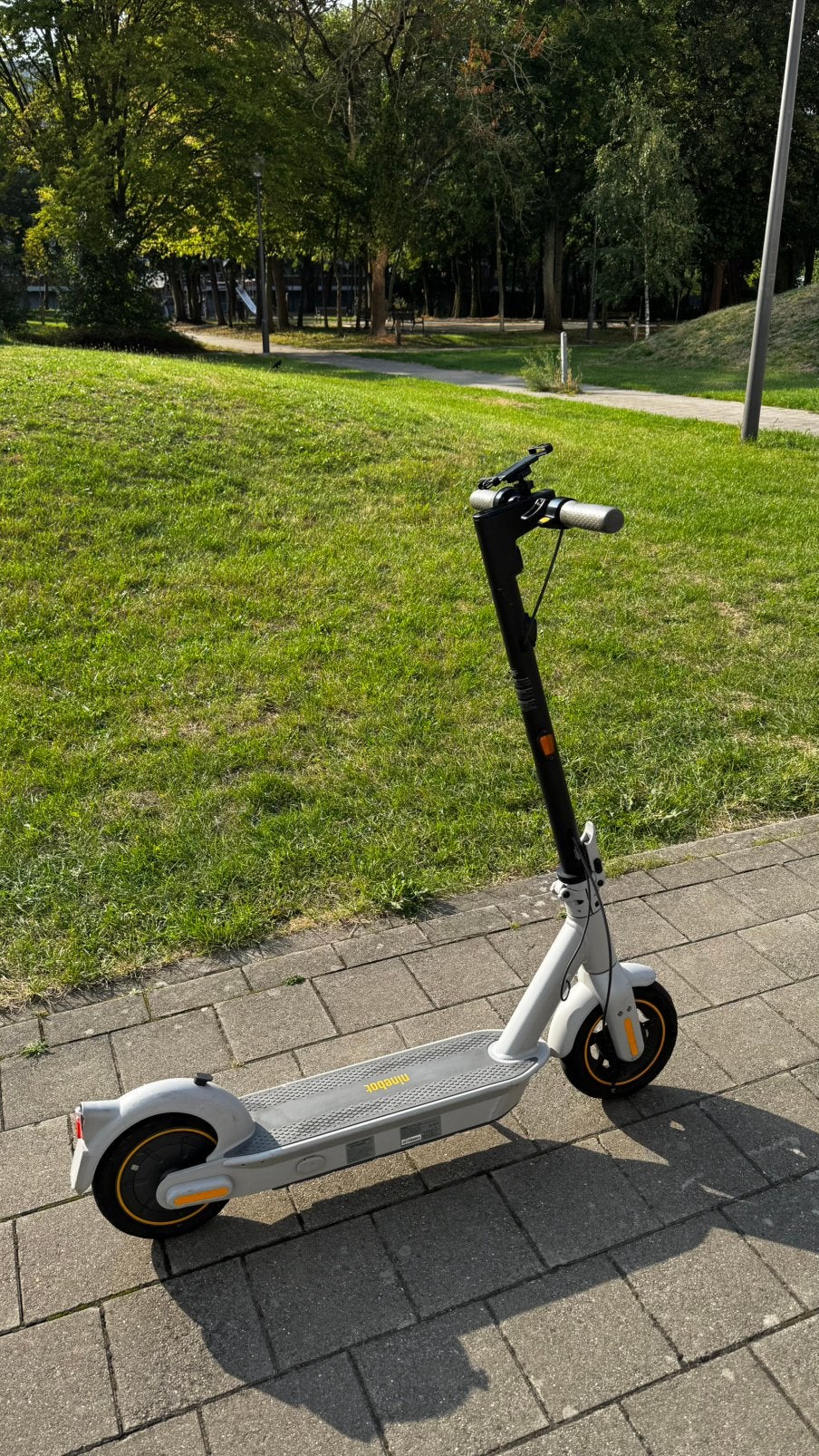 Trottinette électrique Ninebot G30, Enlèvement, Utilisé, Step électrique (E-scooter)