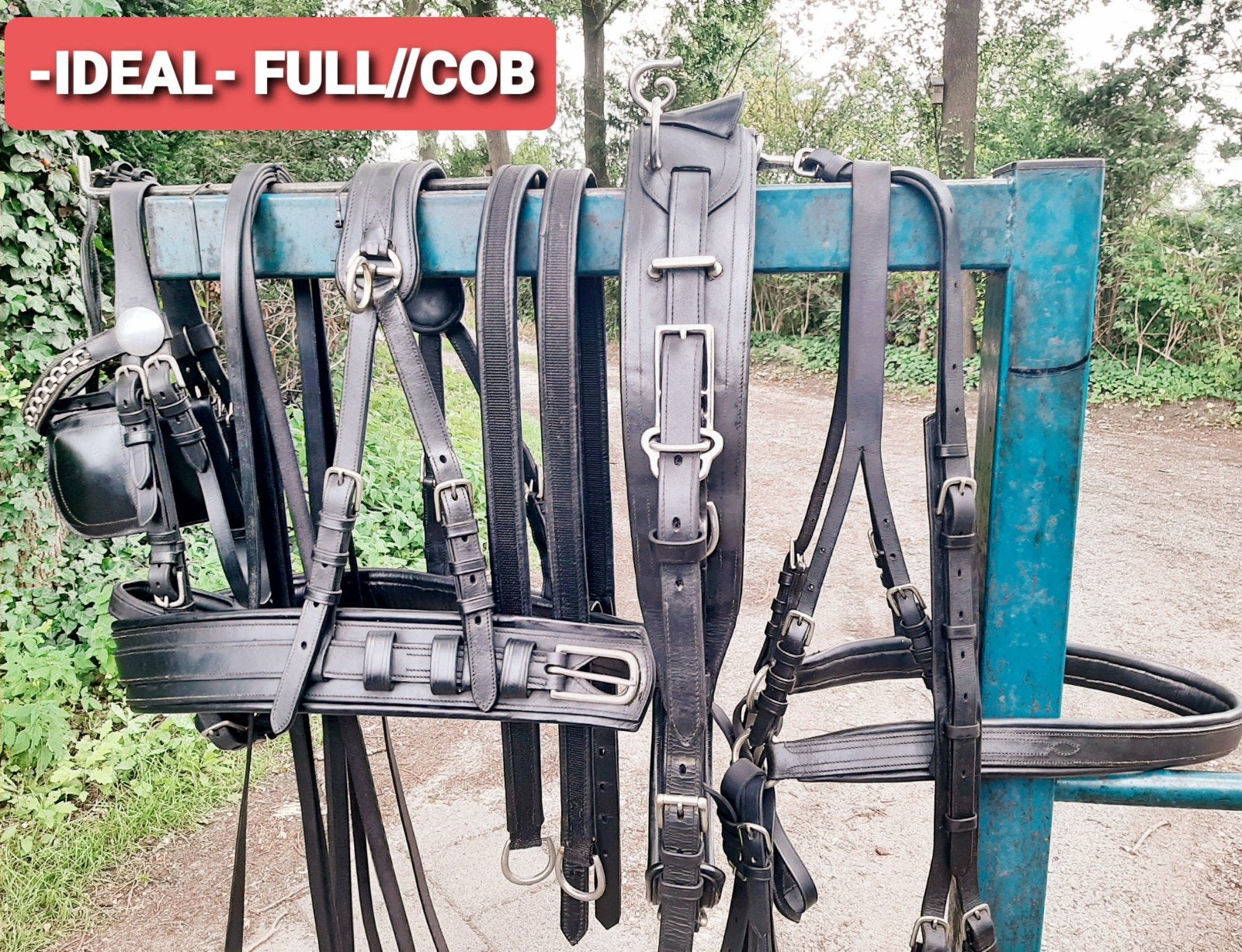 💢-IDEAL- GOED STERK PROPER COB-FULL 1 SP TUIG 295 €💢, Dieren en Toebehoren, Ophalen of Verzenden, Mentuig, Cob