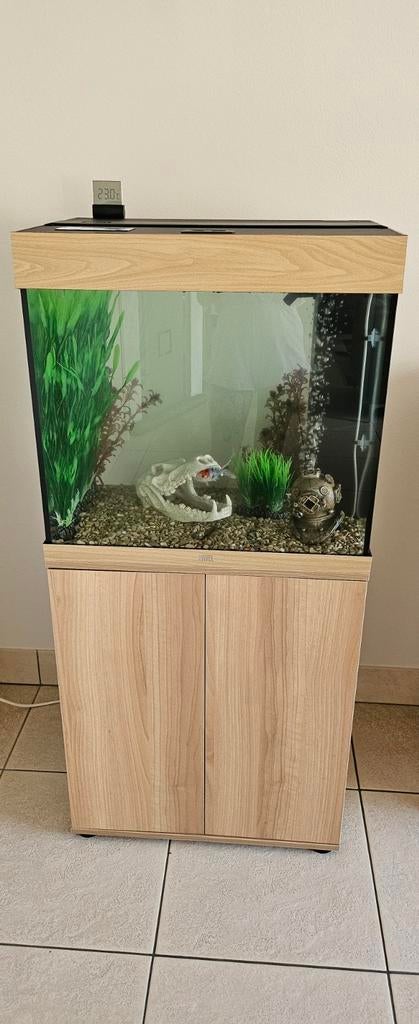 Zo goed als nieuw 1 maand oud 120 l aqarium juwel, Dieren en Toebehoren, Ophalen, Juwel