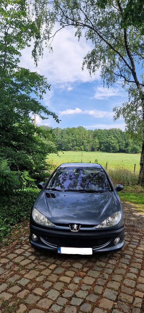 peugeot 206, Auto's, Peugeot, Stof, 50 kW, Zwart, Bedrijf