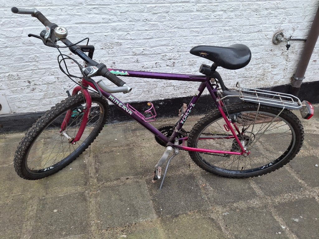 jongensfiets, Vitesses, Frein sur jante, 26 pouces ou plus, Minerva