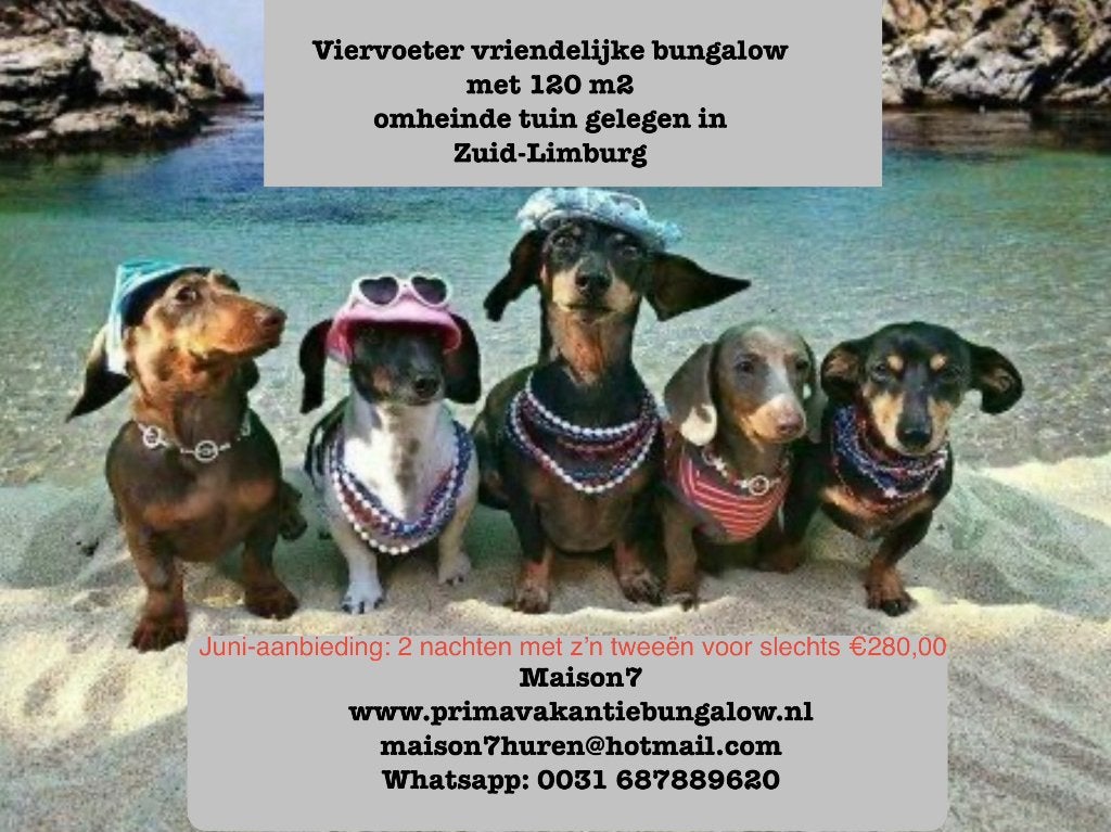 Op vakantie in cosy bungalow omheinde tuin Limburg, Animaux & Accessoires, Enlèvement