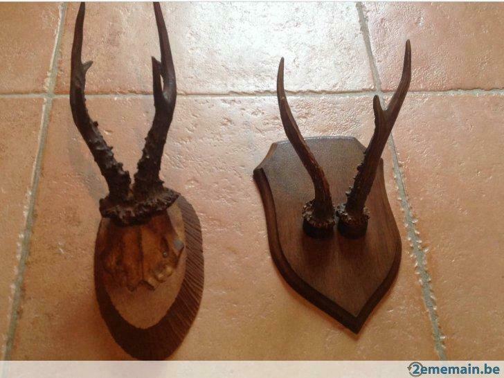 Trophées de chasse, Utilisé