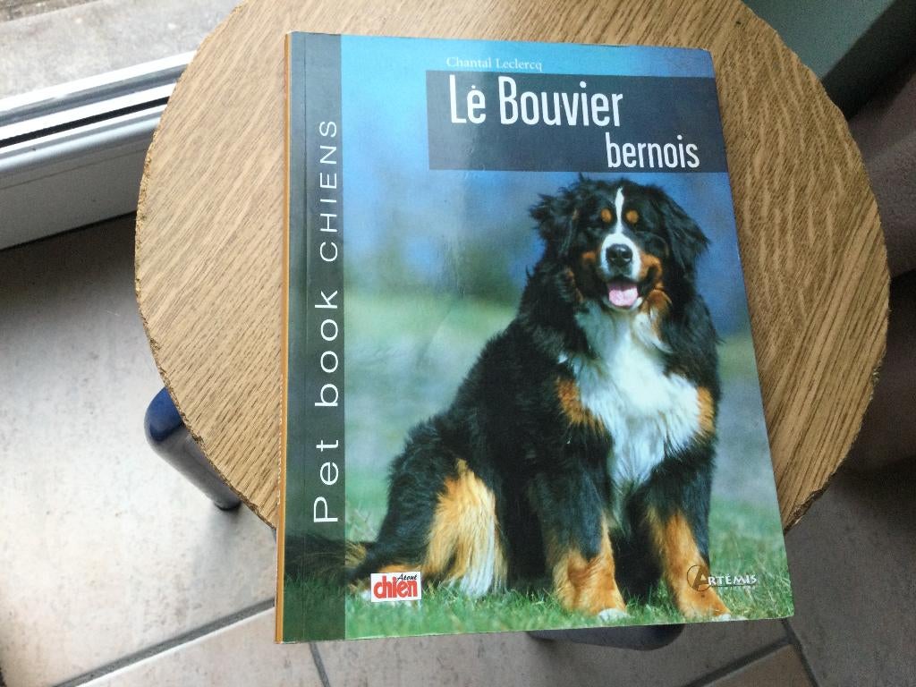 LE BOUVIER BERNOIS/EDITIONS ARTEMIS/C.LECLERCQ, Enlèvement ou Envoi, CHANTAL LECLERCQ