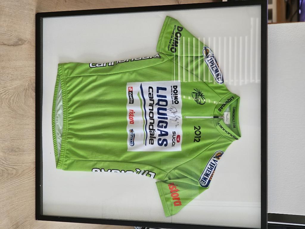 Liquigas - Ronde - Peter Sagan - 2012 - Wielertrui, Enlèvement