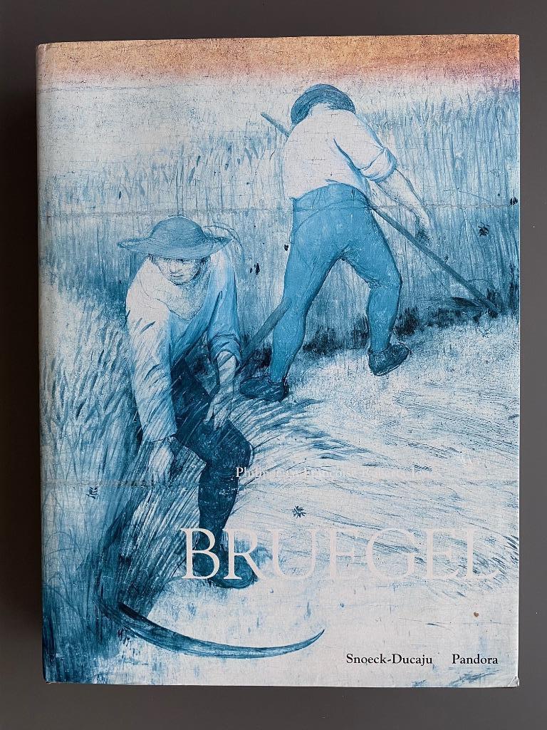 Boek "Bruegel" van Philippe & Françoise Roberts - Jones., Enlèvement ou Envoi, Peinture et dessin