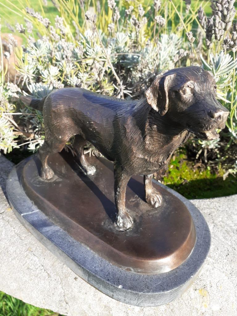 SUPERBE LABRADOR EN BRONZE SUR SOCLE MARBRE, Enlèvement ou Envoi, Bronze