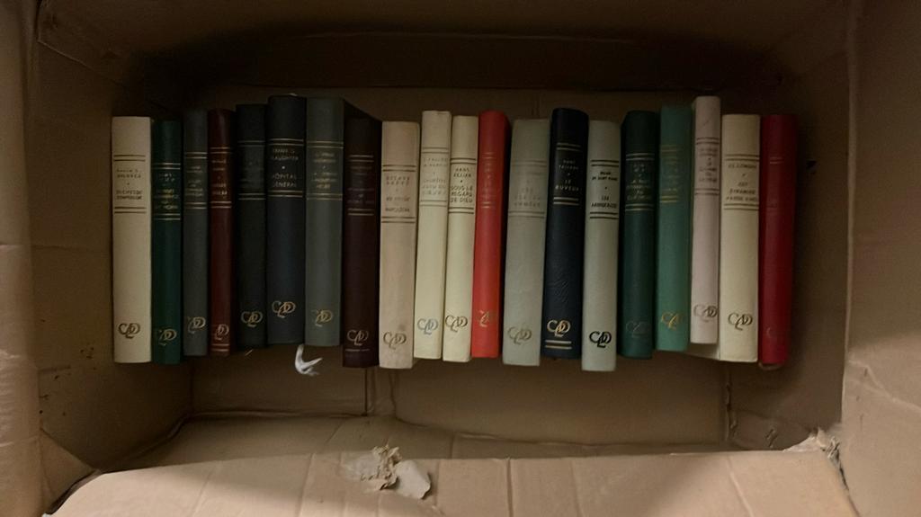 20 franstalige  boeken uitgegeven door CLD, Tickets & Billets
