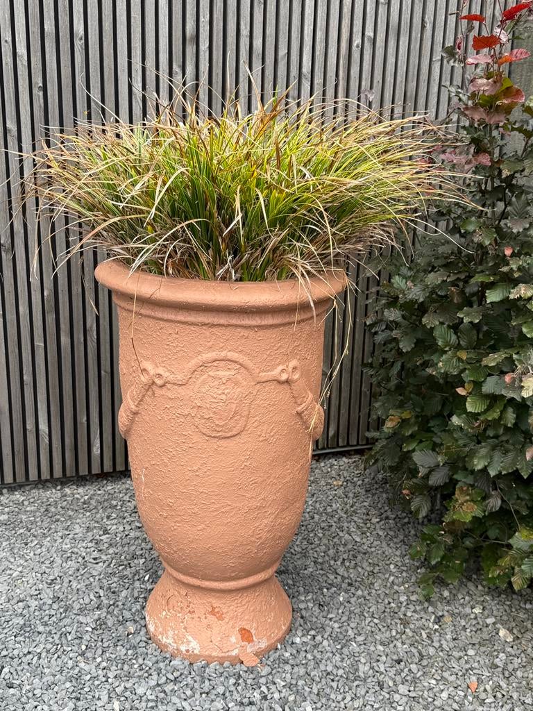 Bloempot terracotta, Balcon, 40 cm ou plus, 70 cm ou plus, Rond