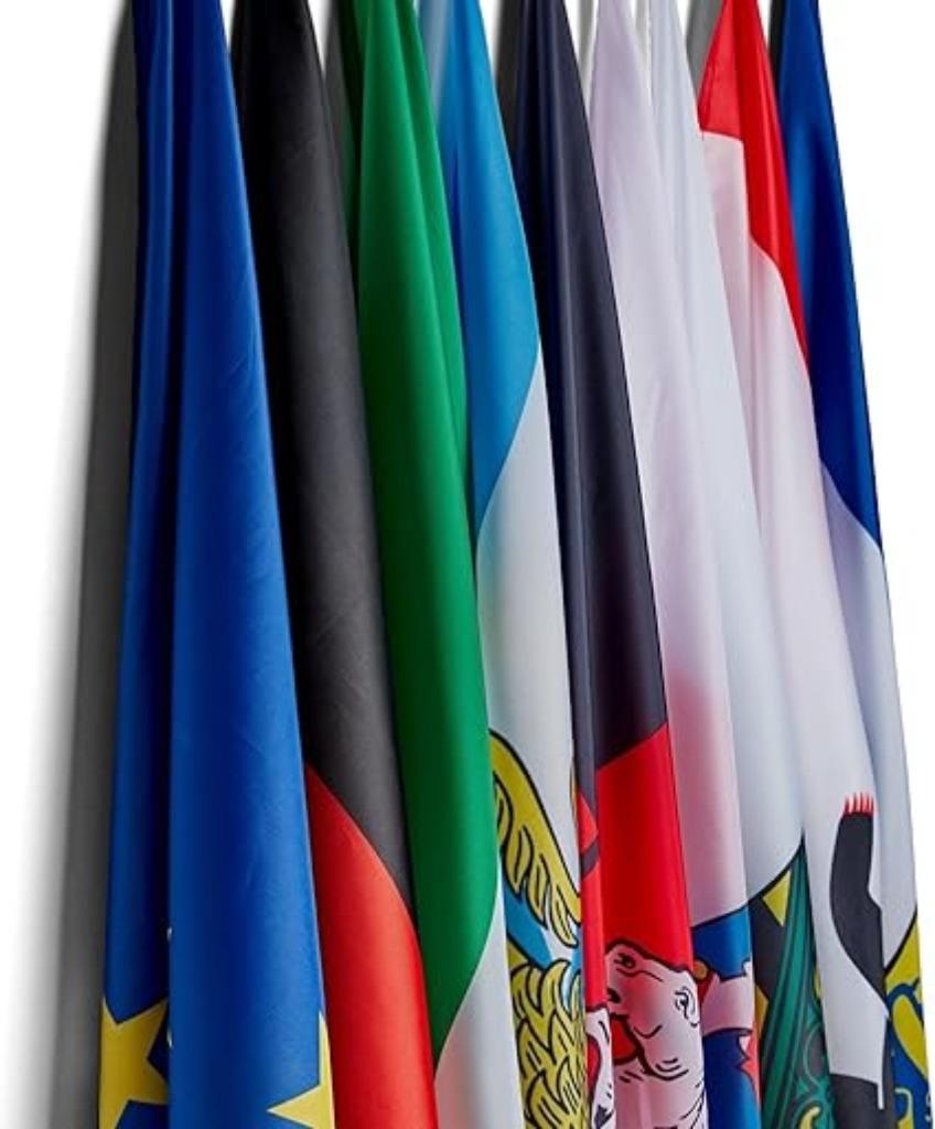 Drapeau de la Hesse | 91 x 152 cm | Nouveau, Divers, Drapeaux & Banderoles, Neuf, -, -, Runesol