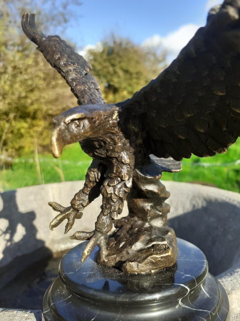 Schitterend gesigneerd bronzen dier (landing met een adelaar, Ophalen of Verzenden, Brons