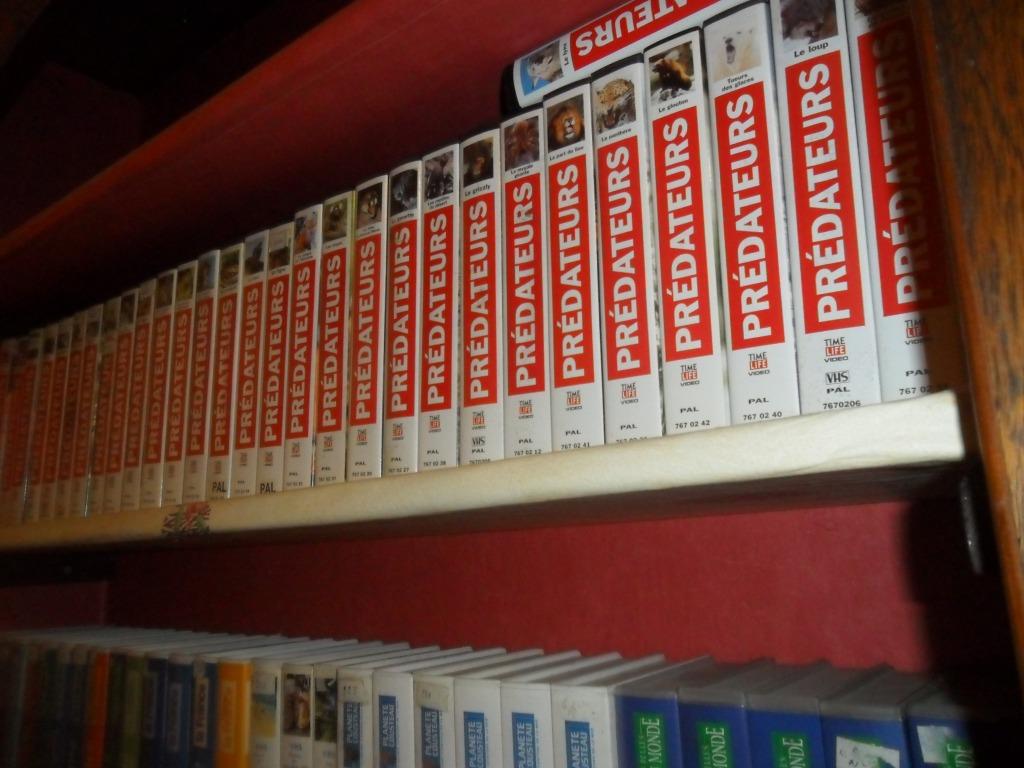 cassette video, À partir de 16 ans, Enlèvement, Neuf, dans son emballage, Documentaire