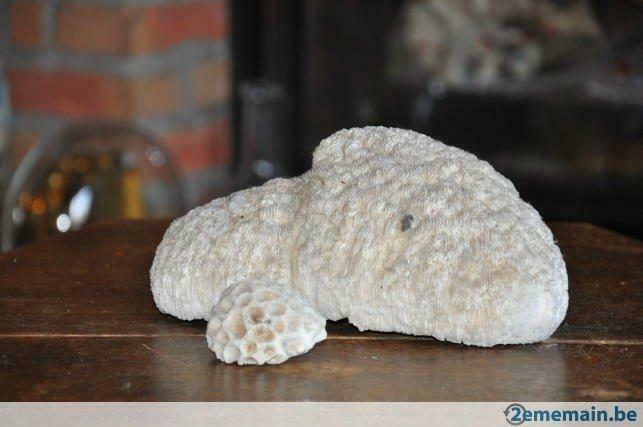 2 coraux boule, Ophalen of Verzenden